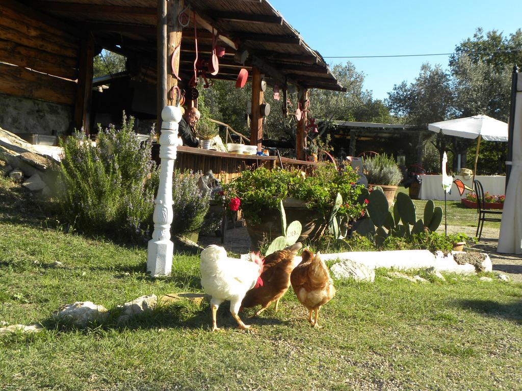Country Resort Il Frassine Rignano sull'Arno Buitenkant foto
